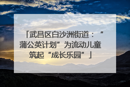 武昌区白沙洲街道：“蒲公英计划”为流动儿童筑起“成长乐园”