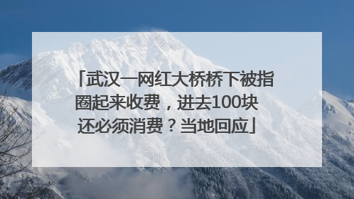 武汉一网红大桥桥下被指圈起来收费，进去100块还必须消费？当地回应