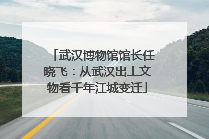 武汉博物馆馆长任晓飞：从武汉出土文物看千年江城变迁