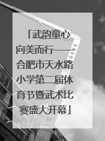 武韵童心 向美而行——合肥市天水路小学第二届体育节暨武术比赛盛大开幕