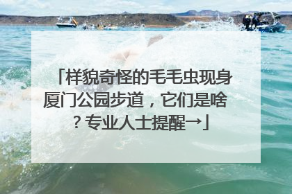 样貌奇怪的毛毛虫现身厦门公园步道，它们是啥？专业人士提醒→