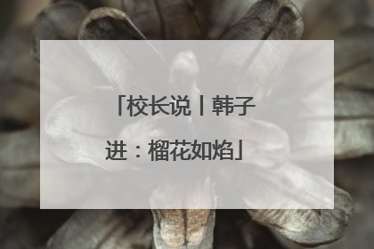 校长说丨韩子进：榴花如焰