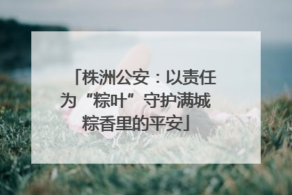 株洲公安：以责任为“粽叶”守护满城粽香里的平安