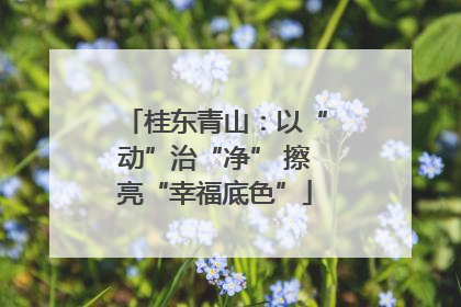 桂东青山：以“动”治“净” 擦亮“幸福底色”