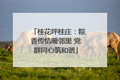 桂花坪桂庄：粽香传情暖邻里 党群同心筑和谐