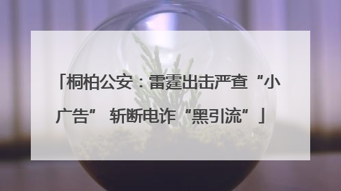桐柏公安：雷霆出击严查“小广告” 斩断电诈“黑引流”
