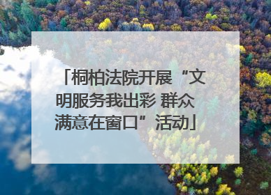 桐柏法院开展“文明服务我出彩 群众满意在窗口”活动