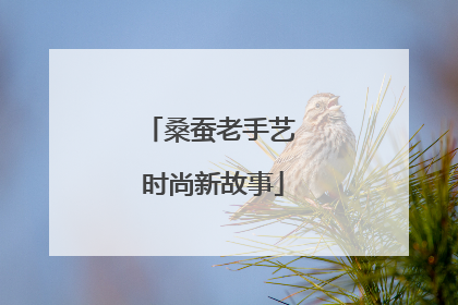 桑蚕老手艺 时尚新故事