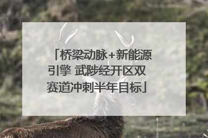 桥梁动脉+新能源引擎 武陟经开区双赛道冲刺半年目标
