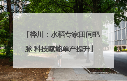 桦川：水稻专家田间把脉 科技赋能单产提升