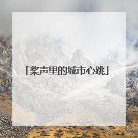 桨声里的城市心跳