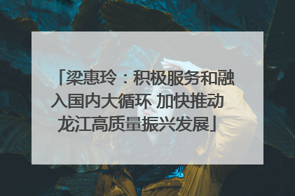 梁惠玲：积极服务和融入国内大循环 加快推动龙江高质量振兴发展