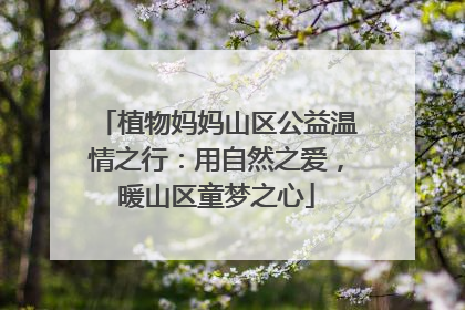 植物妈妈山区公益温情之行：用自然之爱，暖山区童梦之心