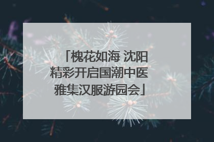槐花如海 沈阳精彩开启国潮中医雅集汉服游园会