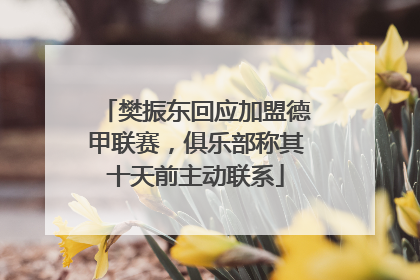 樊振东回应加盟德甲联赛，俱乐部称其十天前主动联系