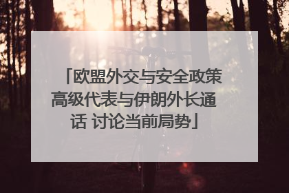欧盟外交与安全政策高级代表与伊朗外长通话 讨论当前局势