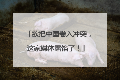 欲把中国卷入冲突，这家媒体露馅了！