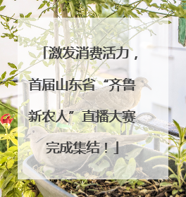 激发消费活力，首届山东省“齐鲁新农人”直播大赛完成集结！