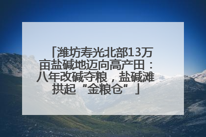 潍坊寿光北部13万亩盐碱地迈向高产田：八年改碱夺粮，盐碱滩拱起“金粮仓”