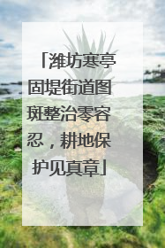 潍坊寒亭固堤街道图斑整治零容忍，耕地保护见真章