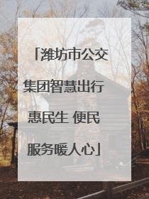 潍坊市公交集团智慧出行惠民生 便民服务暖人心