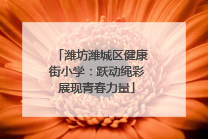 潍坊潍城区健康街小学：跃动绳彩展现青春力量