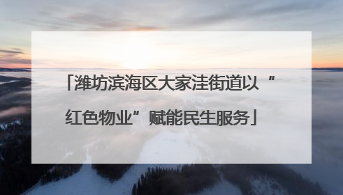 潍坊滨海区大家洼街道以“红色物业”赋能民生服务