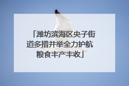 潍坊滨海区央子街道多措并举全力护航粮食丰产丰收