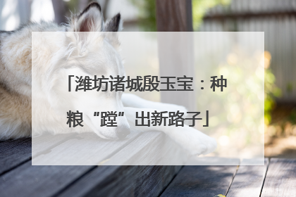 潍坊诸城殷玉宝：种粮“蹚”出新路子