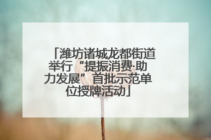潍坊诸城龙都街道举行“提振消费·助力发展”首批示范单位授牌活动