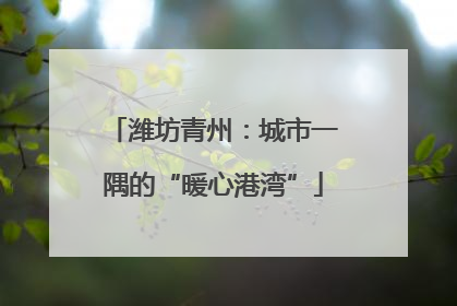 潍坊青州：城市一隅的“暖心港湾”