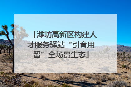 潍坊高新区构建人才服务驿站“引育用留”全场景生态