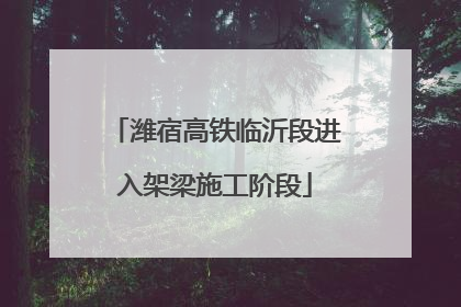 潍宿高铁临沂段进入架梁施工阶段