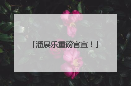潘展乐重磅官宣！