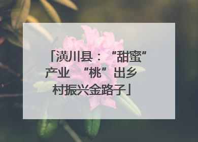 潢川县：“甜蜜”产业  “桃”出乡村振兴金路子