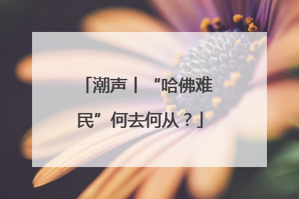 潮声丨“哈佛难民”何去何从？