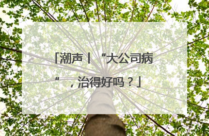 潮声丨“大公司病”,治得好吗?