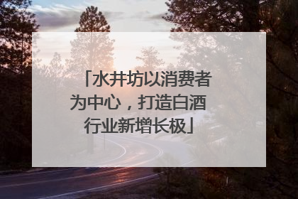 水井坊以消费者为中心，打造白酒行业新增长极