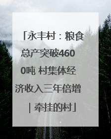 永丰村：粮食总产突破4600吨 村集体经济收入三年倍增｜牵挂的村