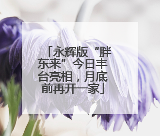 永辉版“胖东来”今日丰台亮相，月底前再开一家