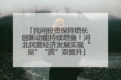 民间投资保持增长 创新动能持续增强！河北民营经济发展实现“量”“质”双提升
