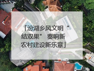 汾湖乡风文明“结双果” 奏响新农村建设新乐章