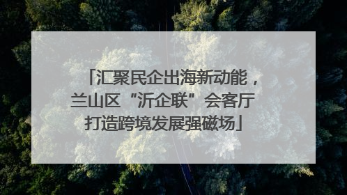汇聚民企出海新动能，兰山区“沂企联”会客厅打造跨境发展强磁场