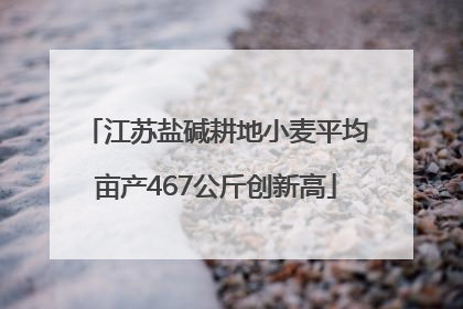 江苏盐碱耕地小麦平均亩产467公斤创新高