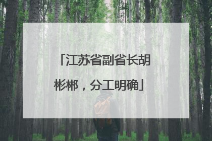 江苏省副省长胡彬郴，分工明确