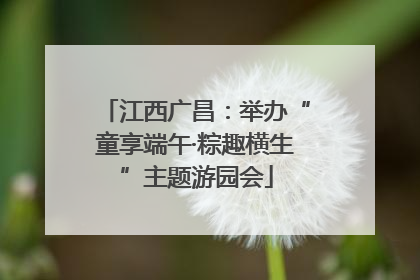 江西广昌：举办“童享端午·粽趣横生”主题游园会