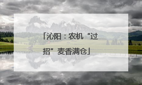 沁阳：农机“过招”麦香满仓