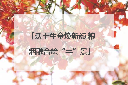 沃土生金焕新颜 粮烟融合绘“丰”景