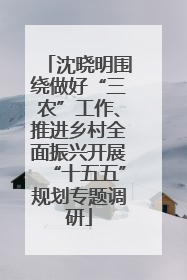 沈晓明围绕做好“三农”工作、推进乡村全面振兴开展“十五五”规划专题调研