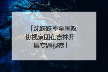 沈跃跃率全国政协视察团在吉林开展专题视察
